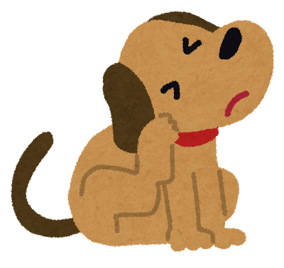 わんぽ