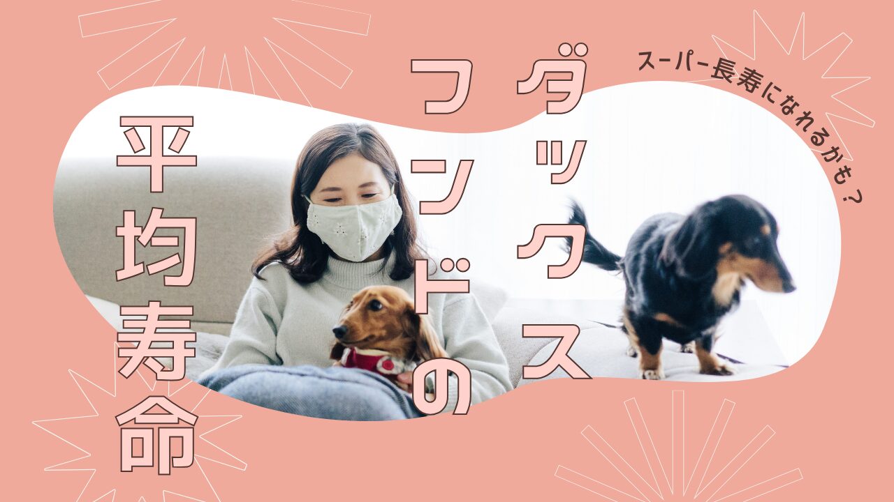 Dachshund-lifespan