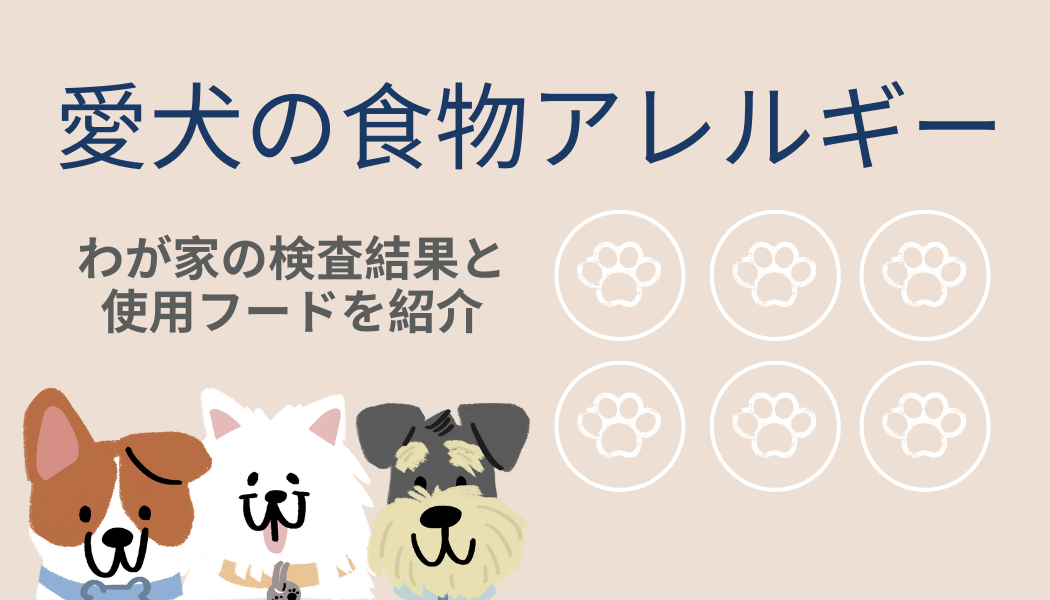 Food-allergies-in-dogs