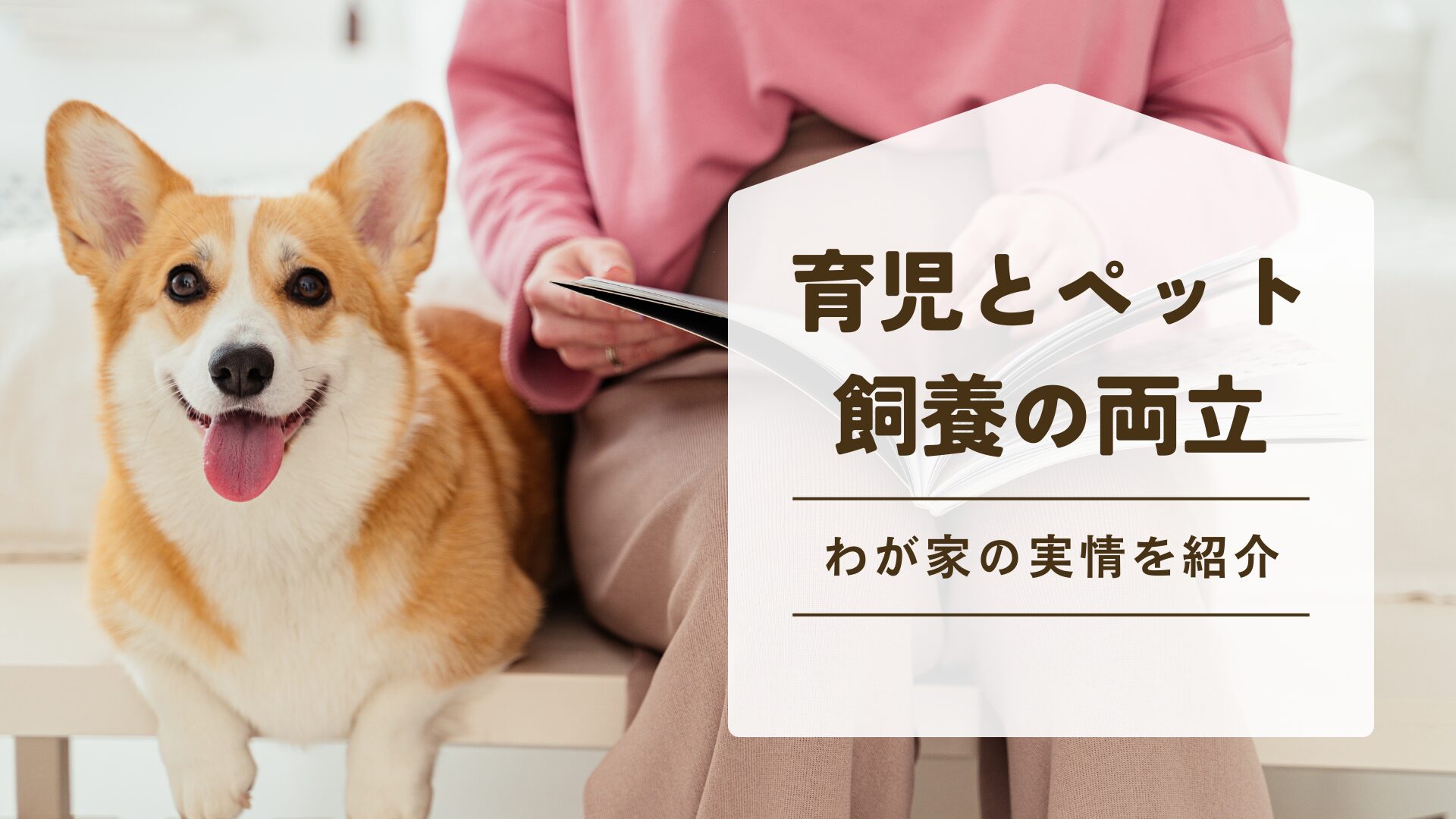 Balancing-child-rearing-and-pet-keeping
